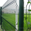 50 X 50 Furo Tamanho Chain Link Fence